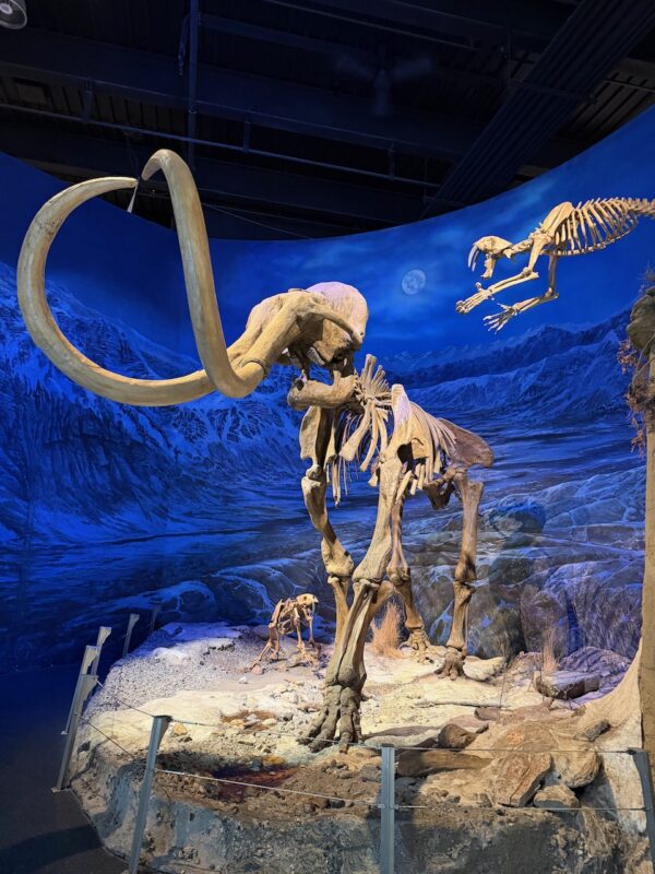 PlanetSKI Heads to Dinosaur Country